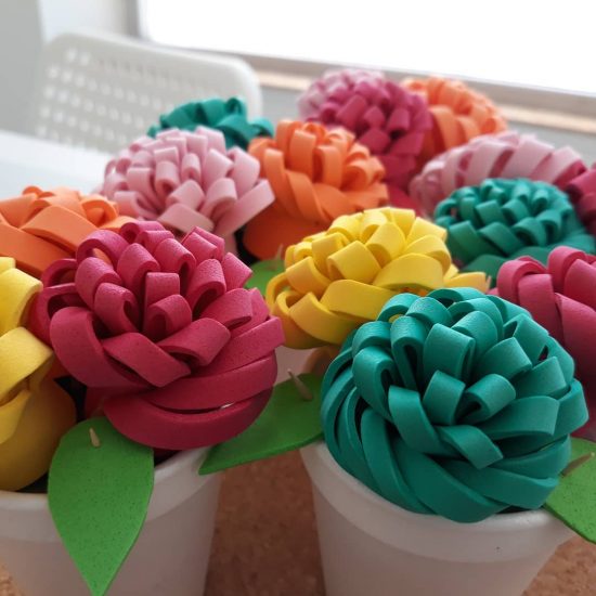 31946012_1970677789611362_1262322409059385344_n