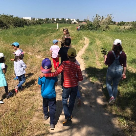 32231695_1977416872270787_5424248110903721984_n