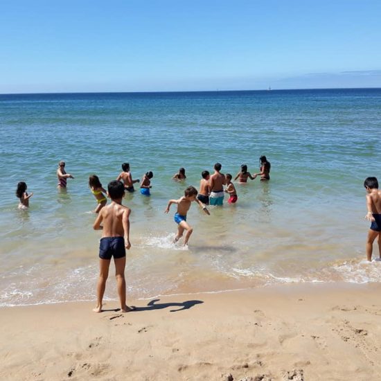 38696054_2105797279432745_4591466235815788544_n