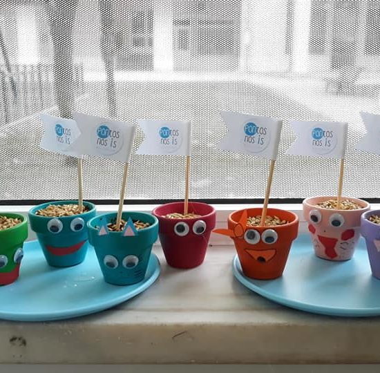 66206138_2623131734365961_8381072406864723968_n