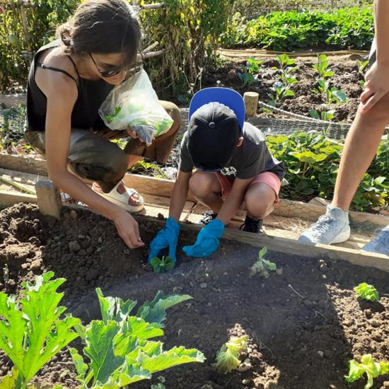 69529683_2738696312809502_2040220825512050688_n