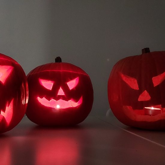 .trashed-1642056481-20211029_122631